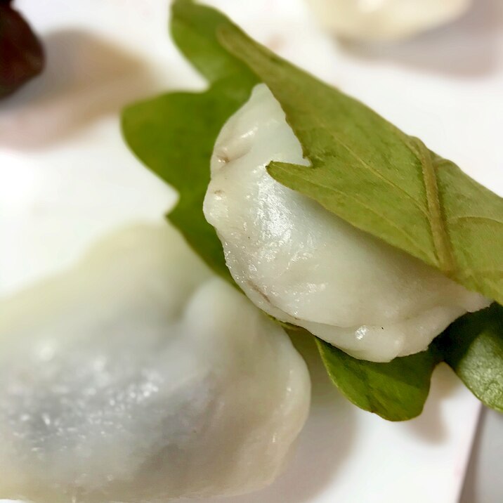 電鍋レシピ 柏餅 端午の節句 こどもの日に レシピ 作り方 By おうちで部活 電鍋部 楽天レシピ 電鍋レシピ 柏餅 端午の節句 こどもの日に レシピ 作り方 By おうちで部活 電鍋部 楽天レシピ